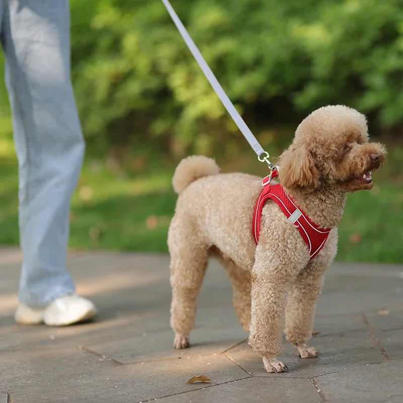 WalkPro: Deluxe Adjustable Pet Set