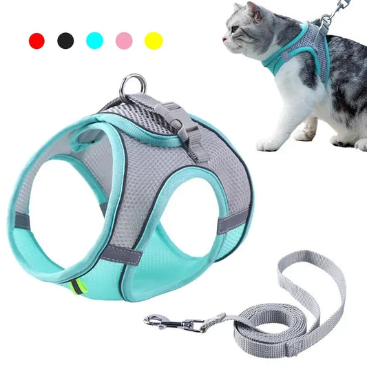 WalkPro: Deluxe Adjustable Pet Set