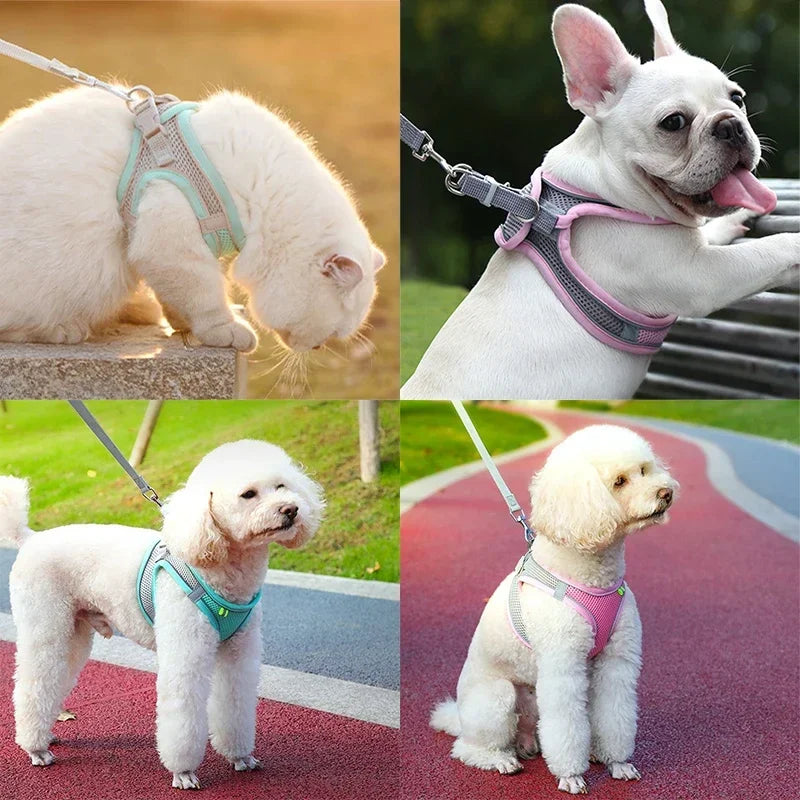 WalkPro: Deluxe Adjustable Pet Set