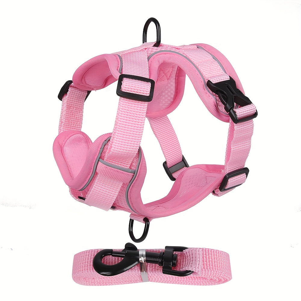 Reflective Cat Harness & Leash Set – Walks, Training, and Adventures Made Safe