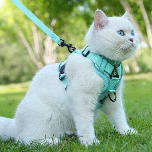 Reflective Cat Harness & Leash Set – Walks, Training, and Adventures Made Safe