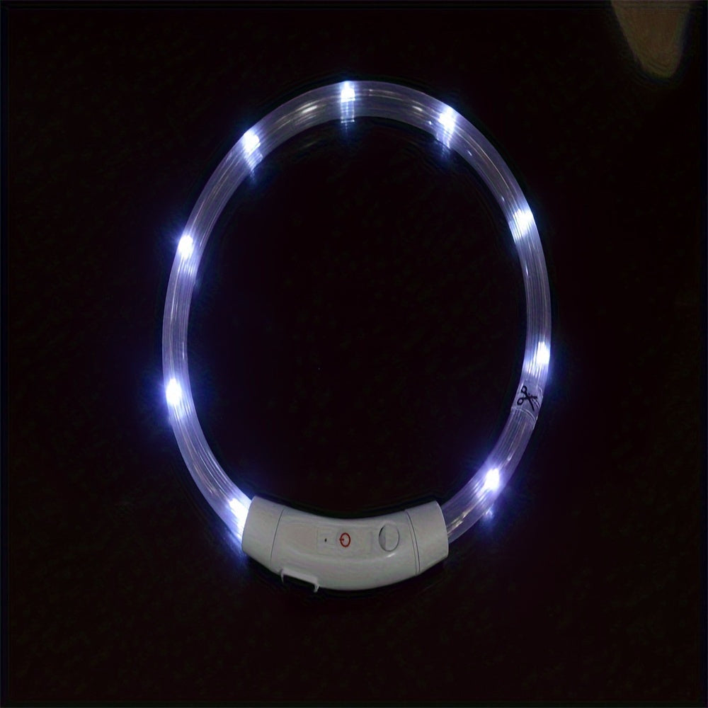 GlowPaws: USB Rechargeable LED Dog Collar for Night Visibility