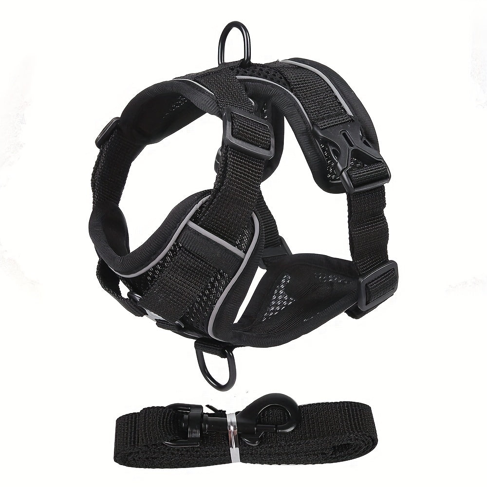 Reflective Cat Harness & Leash Set – Walks, Training, and Adventures Made Safe