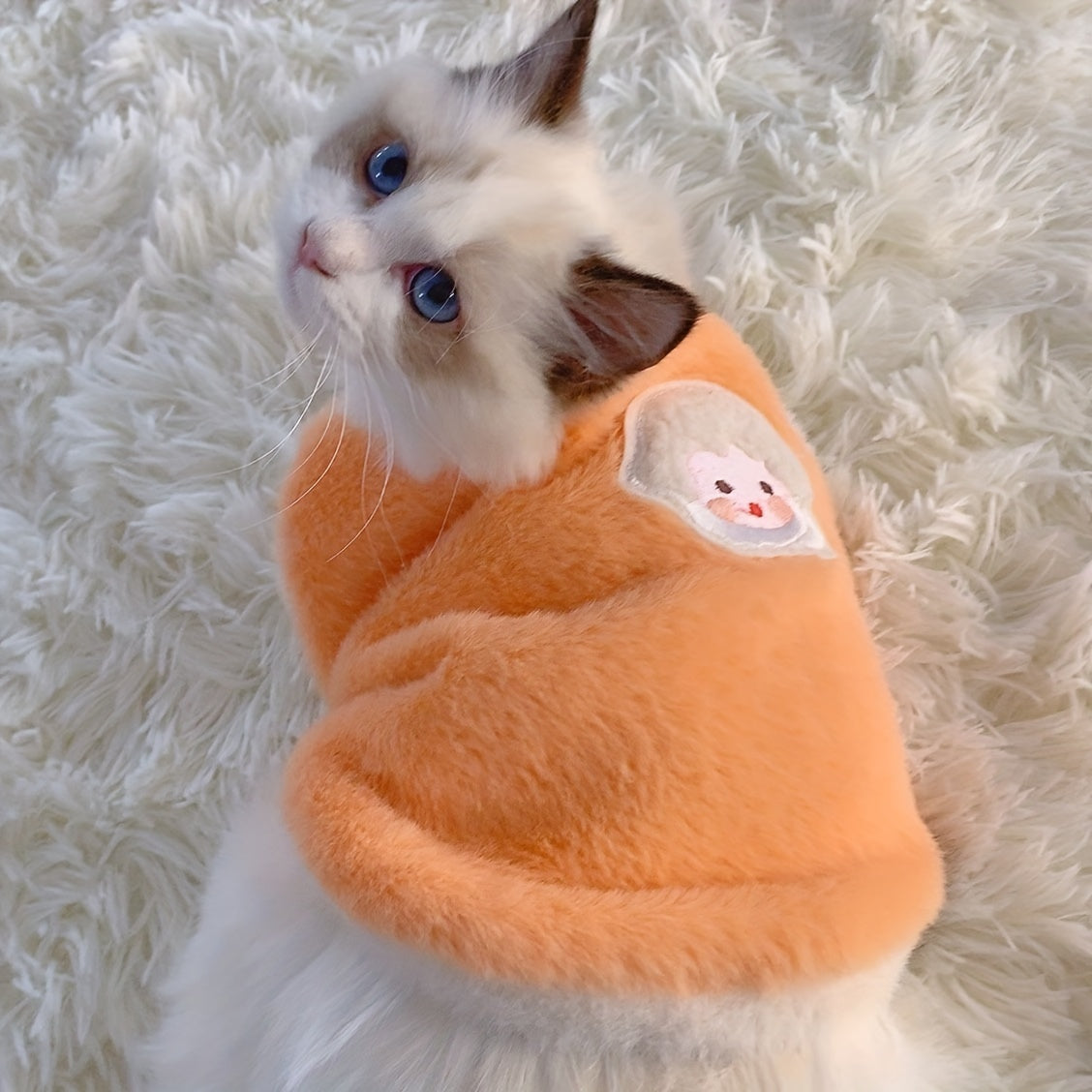 PurrSeasons: CozyKnit Cat Vest for 3-Season Warmth