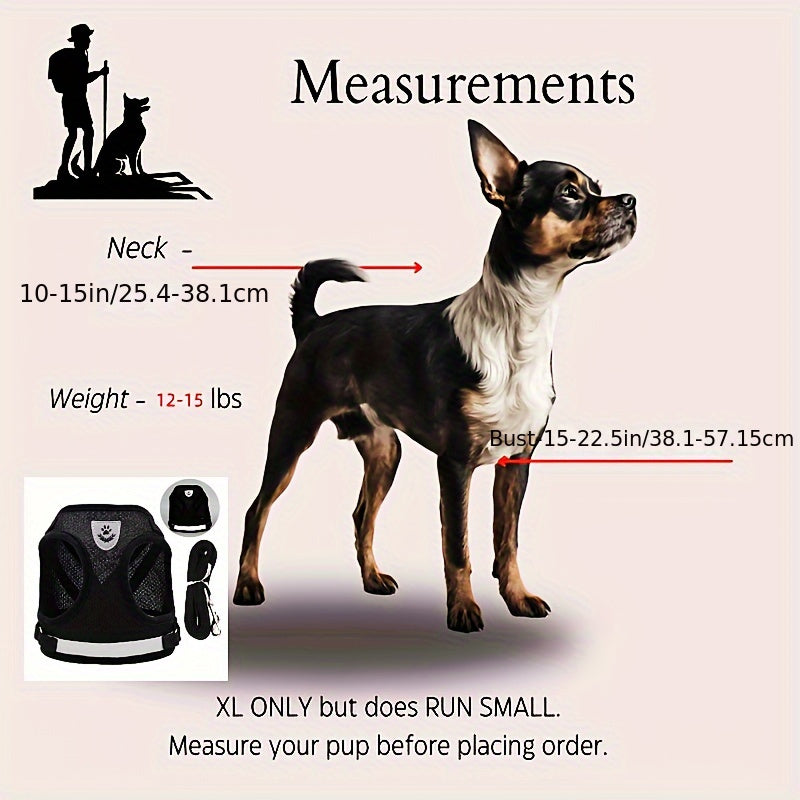 Super-Breathable Pet Harness & Leash Set – Stylish & Secure Control!