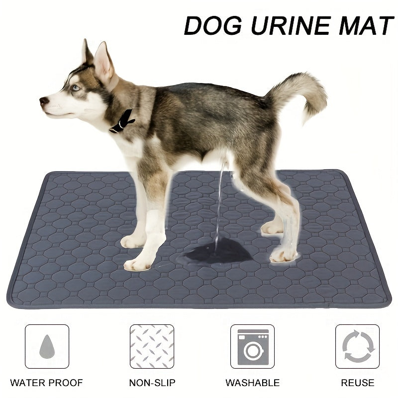 PawDry EcoMax: Washable Pet Pee Pad for Training