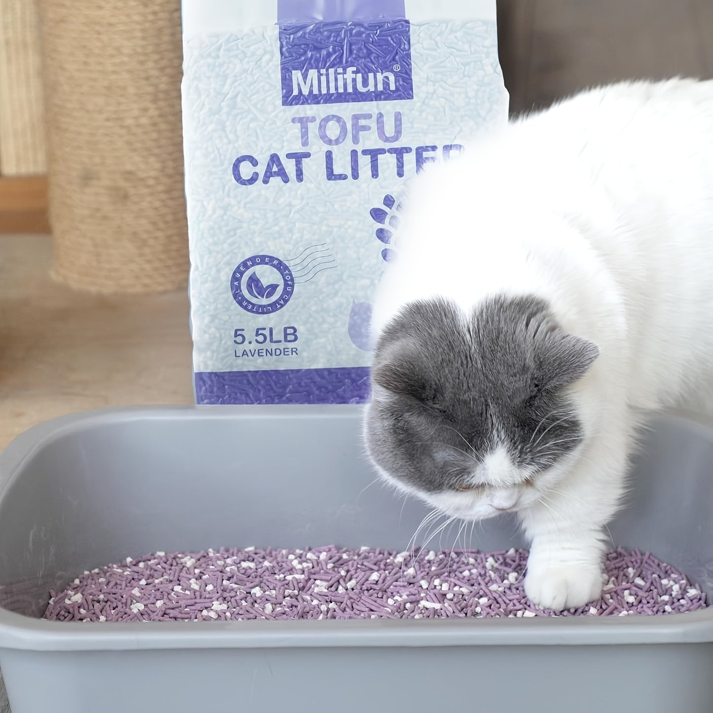 PurrLavender: Super Absorbent Tofu Cat Litter – Fast Clumping & Odor-Free