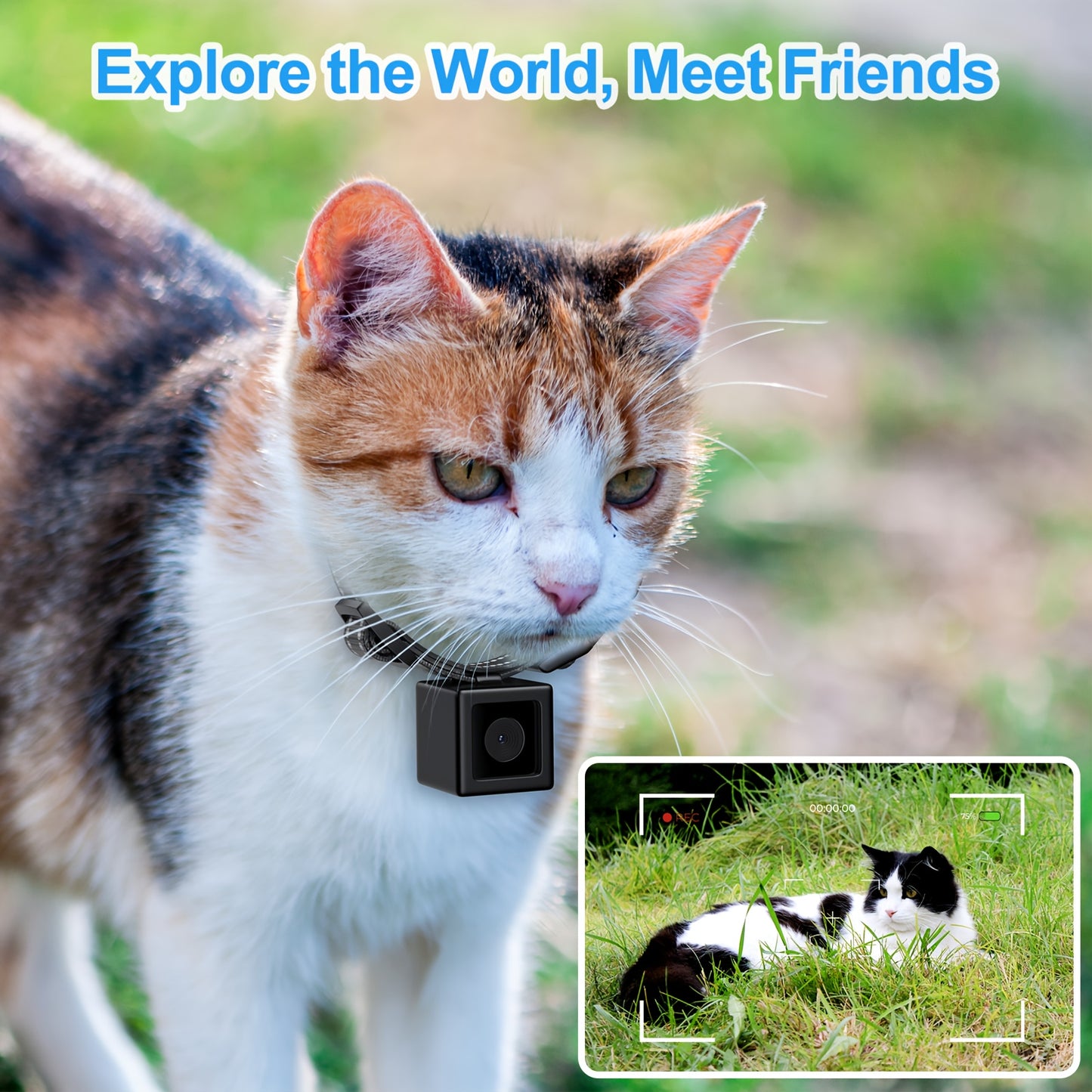 Cat Collar Camera – No WiFi Needed, Lightweight & Rechargeable