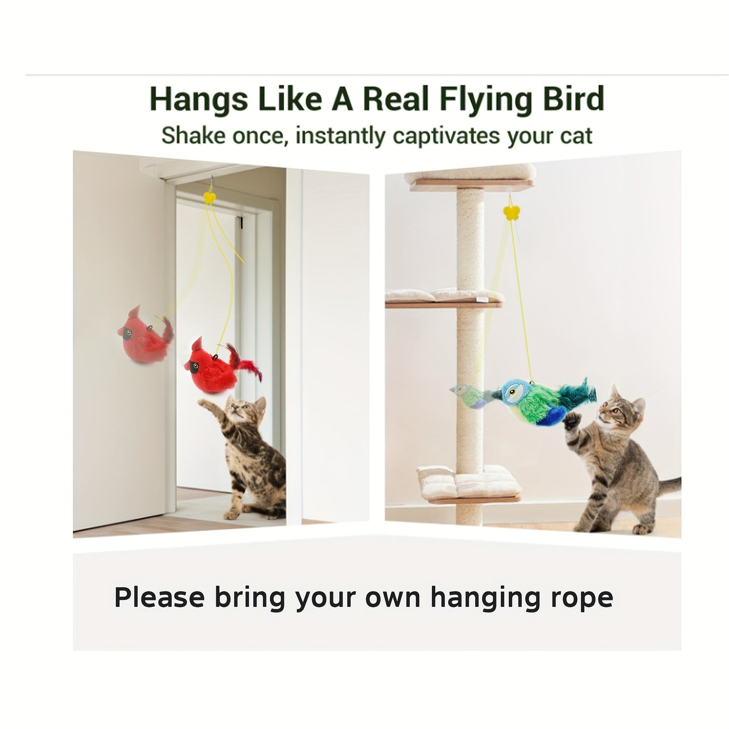 FeatherFrenzy: Battery-Powered Bird Call Toy with Feather Tail for Cats