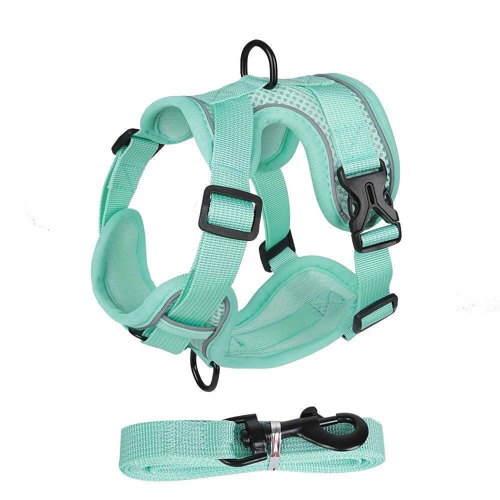 Reflective Cat Harness & Leash Set – Walks, Training, and Adventures Made Safe