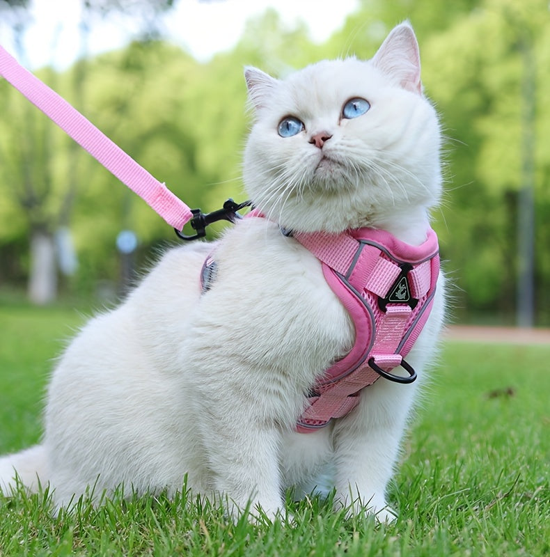 Reflective Cat Harness & Leash Set – Walks, Training, and Adventures Made Safe