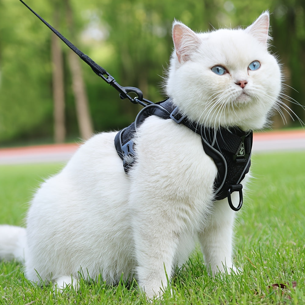 Reflective Cat Harness & Leash Set – Walks, Training, and Adventures Made Safe