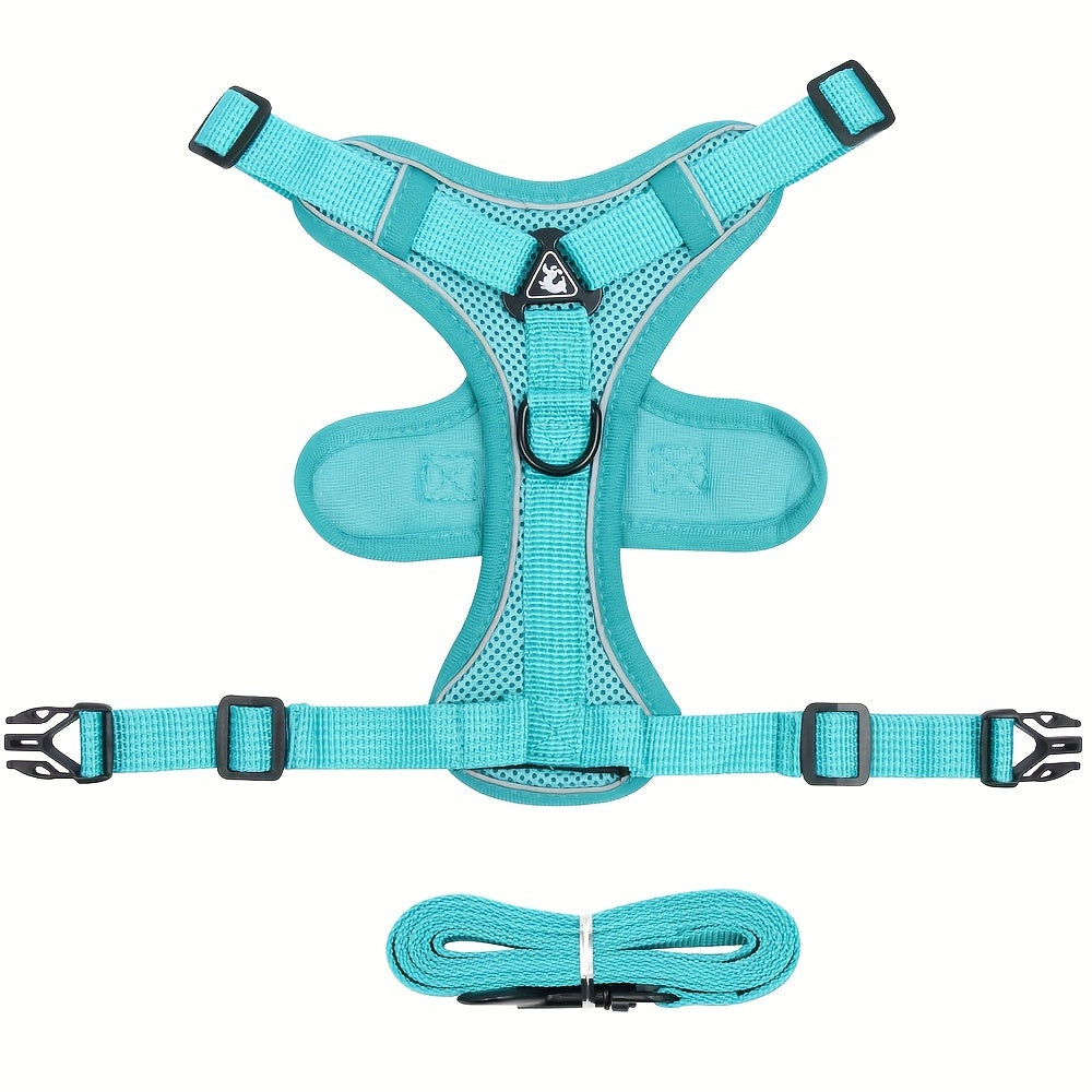 Reflective Cat Harness & Leash Set – Walks, Training, and Adventures Made Safe